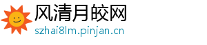 风清月皎网
